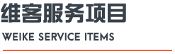 维客服务项目